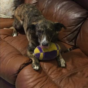 Meet your Posher, Jamie